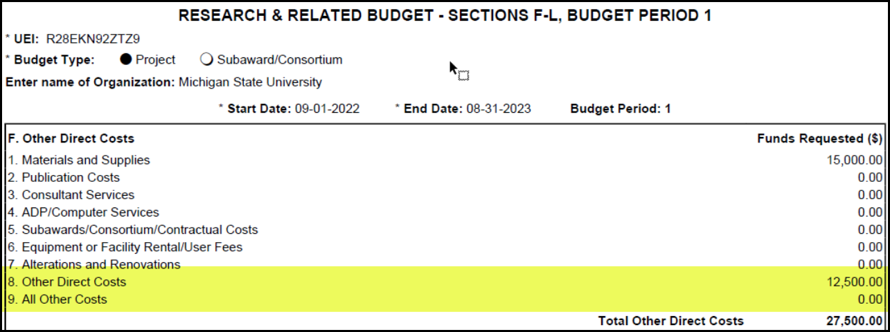 screenshot showing other direct costs in budget form