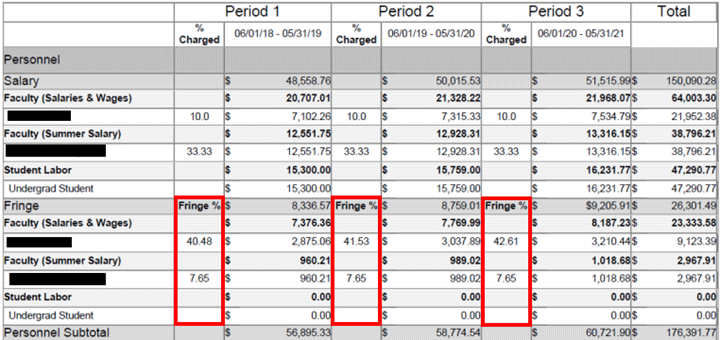 Fringe columns highlighted on a sample Budget Salary Total Report